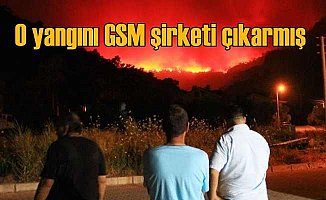 Datça'da orman yangınını GSM şirketi çıkarmış