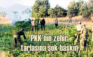 Diyarbakır Lice'de PKK tarlalarına operasyon 