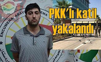 Erbil'de diplomatımızı şehit eden PKK'lı katil yakalandı