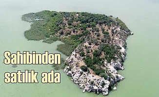 Marmara'da 45 dönümlük ada, 17 milyon liraya satılık