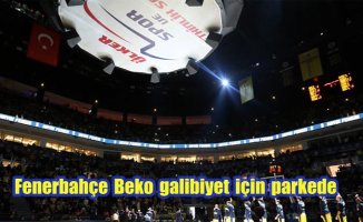 Fenerbahçe Beko, Bakonia'yı konuk ediyor