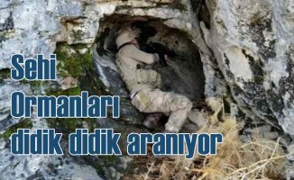 Bitlis Sehi Ormanları'nda Kıran-8 harekatı başladı
