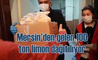 Mersin'den gelen limonlar İstanbul'da dağıtılıyor