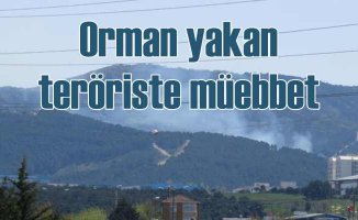 Aydos Ormanlarını yakan teröriste ömür boyu hapis cezası