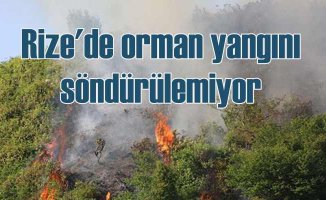 Rize'de orman yangını bir türlü söndürülemiyor
