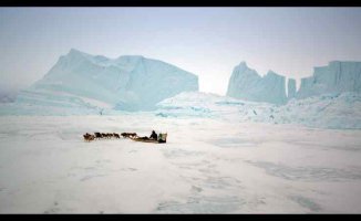 Son Buzul | National Geographic Ekranlarında | Belgesel