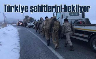Bitlis'ten acı haber | Şehit sayımız 11'e yükseldi