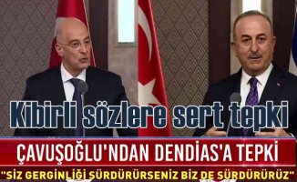 Yunan Bakan Ankara'da kriz çıkardı, Çavuşoğlu'ndan sert cevap