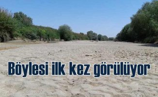 Büyük Menderes Nehri'nde korkutan kuraklık