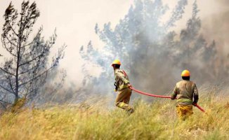 Orman yangınlarıyla mücadelesinde OGM’ye ödül