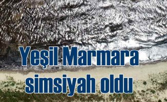 Yeşil Marmara siyaha döndü | Denize girmek intihar