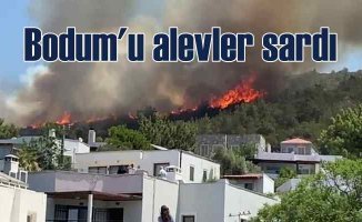 Bodrum'da yangın | Alevler hızla yayılıyor