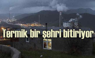 Greenpeace, Zonguldak’ta Adil Dönüşüm kampanyası başlattı
