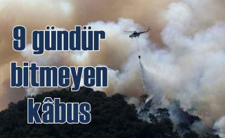 Türkiye'nin ormanları 9 gündür yanıyor | Alevlerin önü kesilemedi