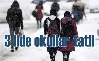 Konya, Tunceli ve Aksaray'da okullar tatil