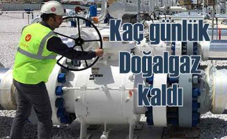 Türkiye'nin kaç günlük doğalgazı kaldı?