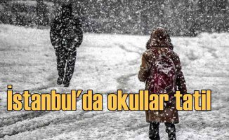 İstanbul'da kar yağışı başladı, okullar tatil edildi
