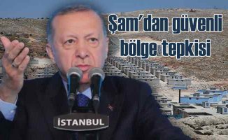 Şam yönetimi, Ankara'nın güvenli bölge planına tepki gösterdi