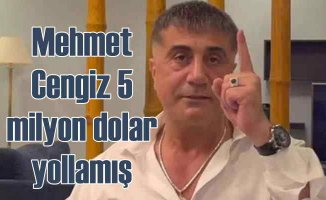 Mehmet Cengiz, Sedat Peker'e 5 milyon dolar göndermiş