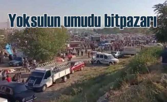 Bit pazarında pazarında vatandaşın isyanı | Erdoğan'a gönderin görsün