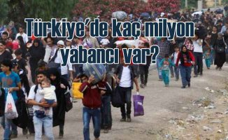 Türkiye'de kaç yabancı var | Özdağ açıkladı
