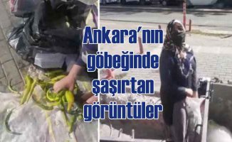 Çöpten sebze toplayan kadın | Erdoğan utansın