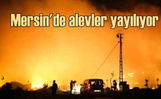 Mersin'de orman yangını | Yollar trafiğe kapatıldı