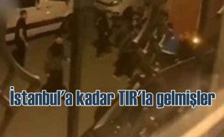 TIR dolusu kaçağı İstanbul'a bıraktılar | 120'si yakalandı