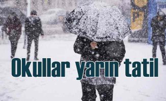 İstanbul ve Ankara'da okullara kar tatili