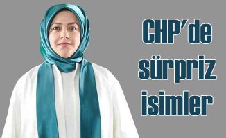 Sema Silkin Ün Denizli'den CHP listesinden aday oldu