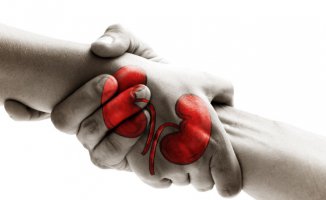 28 bin kişi organ bekliyor! | Bağışlar yetersiz kalıyor