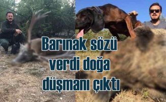 Barınak sözü veren AKP'li aday öldürdüğü hayvanlarla poz vermiş