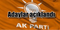 AK Parti Milletvekili Adayları: Kimler var?