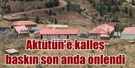 Aktütün Karakolu'na sızacaklardı: 10 PKK'lı öldürüldü