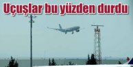 Atatürk Havalimanı pistini köpekler bastı, uçuşlar durdu