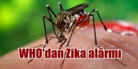 Bilim insanları Zika için aşı arıyor