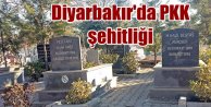 Diyarbakır Belediye mezarlığında sözde PKK şehitliği!