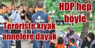 HDP'li belediyeden annelere dayak, teröriste destek