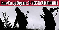 Kars'ta çatışma, 3 terörist öldürüldü