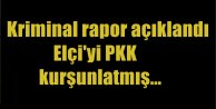 Kriminal raporu açıklandı, Elçi'yi PKK kurşunlatmış