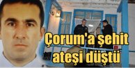 Nusaybin'den acı haber Çorum'a düştü: Mesut Demirkan hayatını kaybetti