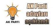 Seçim 2015, AK Parti adayları açıklandı: AK Parti adayları