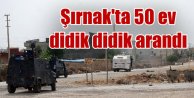 Şırnak'ta büyük operasyon: 50 adres aynı anda arandı