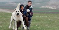 'Sivas' filmi hız kesmeden başarıya koşuyor