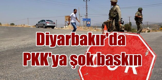 TSK açıkladı; Diyarbakır ve Muş'ta 9 terörist etkisiz hale getirildi