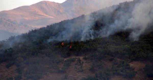 Tunceli ve Nusaybin'de orman yangınları