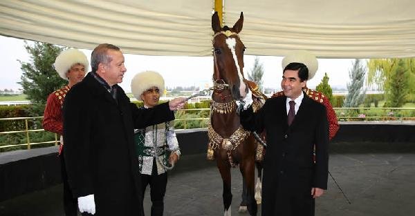 Türkmenistan Devlet Başkanı Berdimuhamedov, Cumhurbaşkanı Erdoğan’a At Hediye Etti