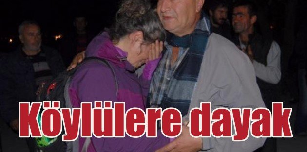 Yırca'da Köylüler Dövüldü, 6 Bin Zeytin Ağacı Kesildi