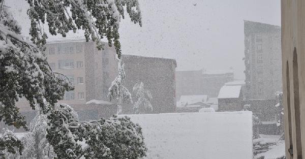 Yüksekova'da Yoğun Kar, Köy Yollarını Kapattı