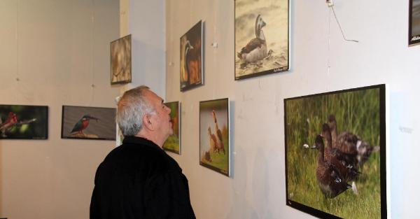 Zonguldak kuşları fotoğraf sergisi ilgi gördü